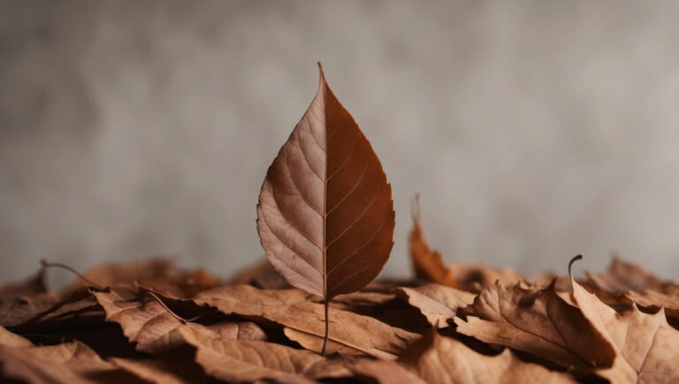 Our Roots