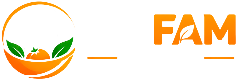 Fit Fam Feed